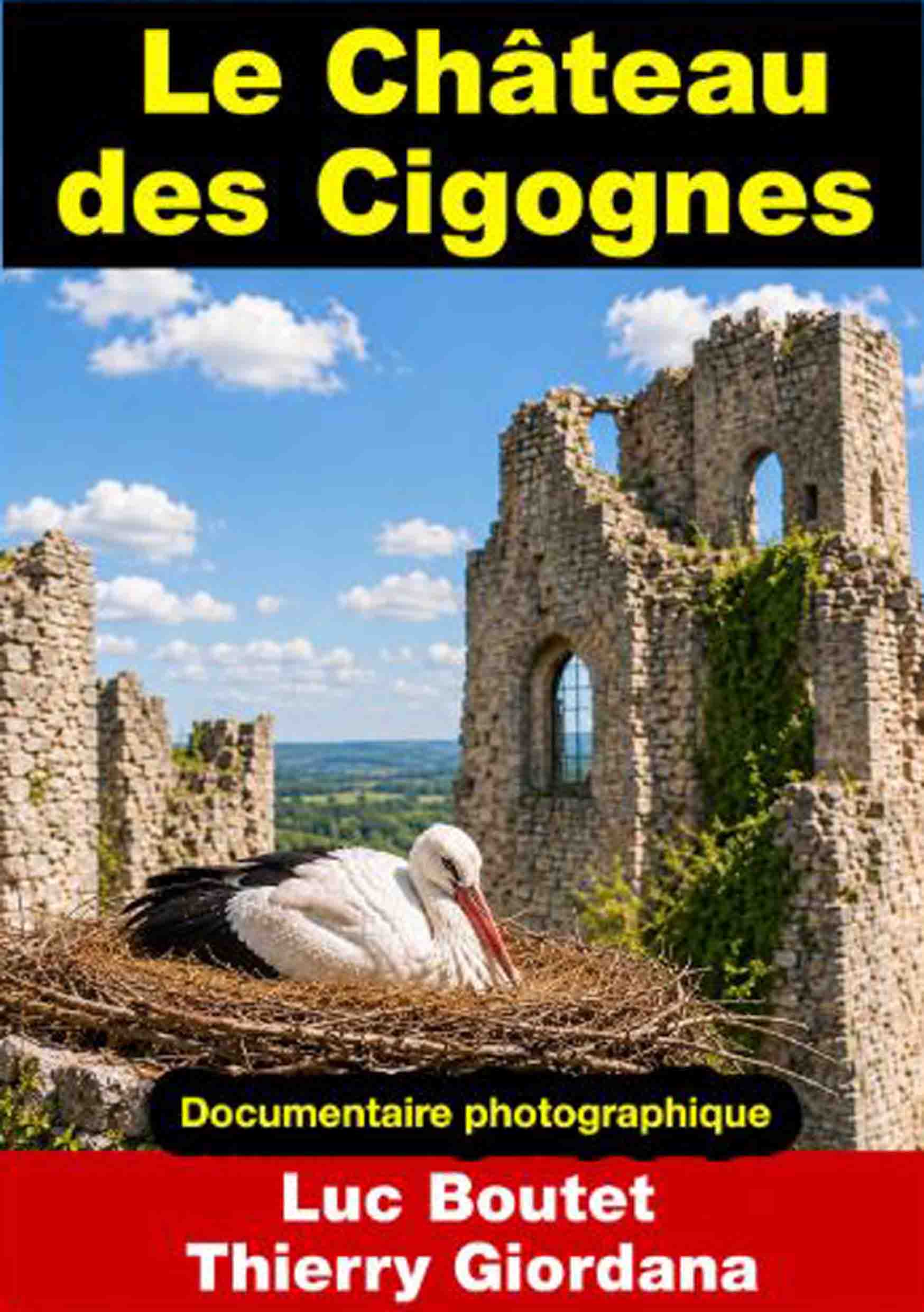 Sur le blog de Luc Boutet : publication d’une nouvelle image sur : Le Château des Cigognes, ISBN – 978-2-494768-55-0, pour la couverture du nouvel essai de Luc Boutet. A voir sur le blog : : www.luc-boutet-auteur.com Et sur : www.luc-boutet-auteur.fr